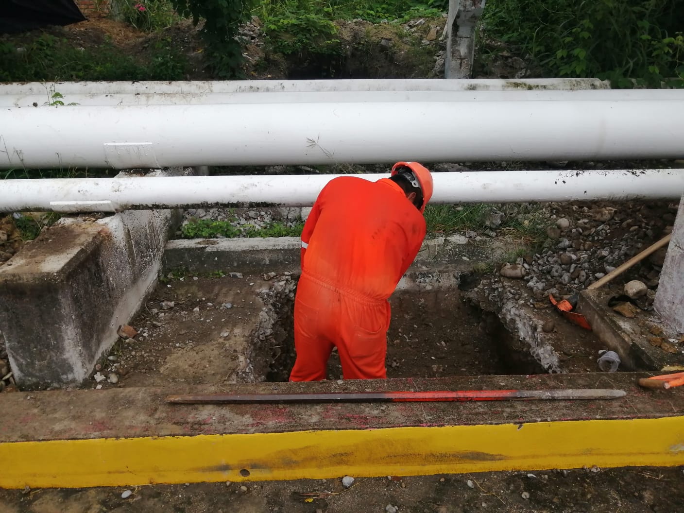 WhatsApp Image 2022-10-19 at 6.42.59 PM